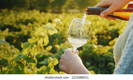 Pouring Wine Into A Glass On The Background Of The Vineyard. Wine Tour Concept