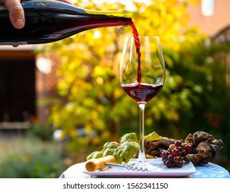 Pouring yound red beaujolais wine in glass during celebration of end of harvest and first sale release on third Thursday of November in sunny day in Burgundy, France