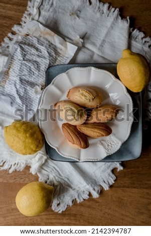 Poust's French sponge cakes with lemon, as remembrance of things past Stock photo © 