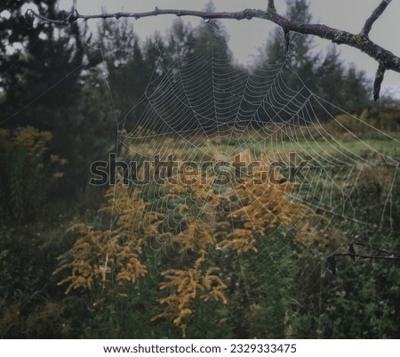 Similar – bleak Colour photo