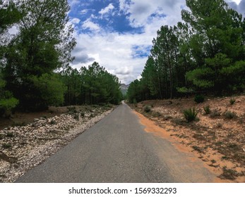POV driving a car on a lonely old curve road through a mediterranean pine wood in Albacete, Spain, between a cliff and a rock wall. Drive on Nerpio's road at south Europe