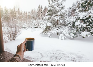 POV Photo Of Mug With Hot Tea In Human Hand Over Snowy Forest Some Winter Morning