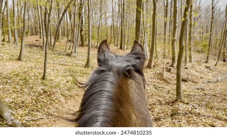 POV: Riding a beautiful chestnut colored stallion down an empty forest trail. First person view of horseback riding through the tranquil woods on a sunny spring day. Fun outdoor leisure activity. - Powered by Shutterstock