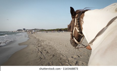 POV Riding A Horse On A Tropical Beach