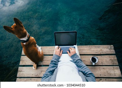 POV Shot Of Remote Office Worker Chill With Dog On Pier During Camping Trip Or Walk In Park, Workaholic Addicted To Internet, Laptop And Social Media. Office Escape To Work On Personal Project