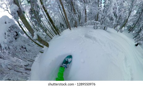 POV VR 360: Carving The Fresh Snow Through The Coniferous Forest In The Sunny Slovenian Alps. Freeriding Through The Idyllic Snowy Woods On Perfect Winter Day. Snowboarding Past Wintry Spruce Trees.