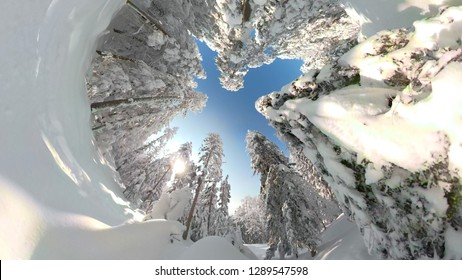 POV VR 360: Perfect Clear Blue Sky Above You While Snowboarding Off Piste Through The Beautiful Snowy Forest. Speeding On Your Snowboard Past Dangerous Spruce Trees While Riding In Sunny Backcountry