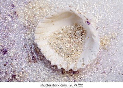 powder eyeshadow different coloured in shell