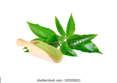powder green tea and green tea leaf  on white background