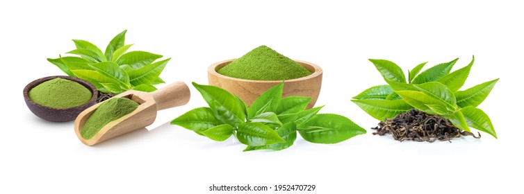 powder matcha green tea and with leaf  isolated on white background