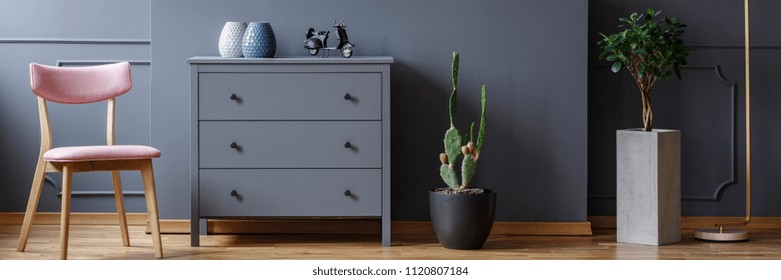 Powder pink chair standing by a grey cupboard with vases and motorcycle model in dark living room interior with potted plant and cactus