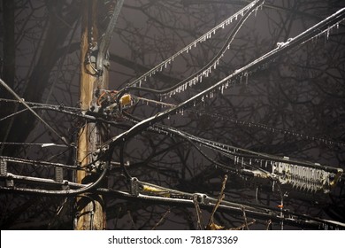 Power Line In Frozen Rain At Night