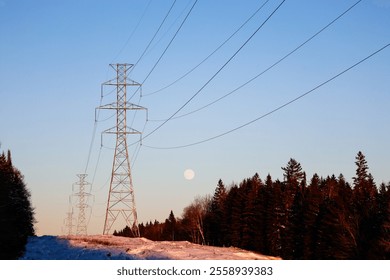 Power line in the winter forest against the blue sky and the moon - Powered by Shutterstock - Get 15% off with code: PIKWIZARD15