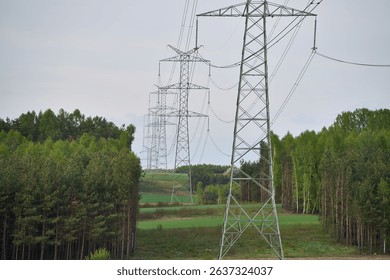 Power lines crossing forest and open field - Powered by Shutterstock - Get 15% off with code: PIKWIZARD15