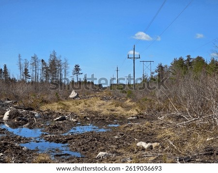 Power lines extending far into the distance through a mucky area in the woods.
