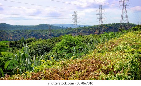 Power Lines With Green Grass Background. Ghana West Africa.