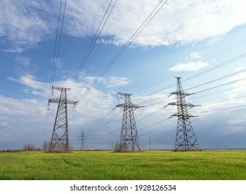 power lines in the spring in a green wheat field.