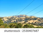 Power lines stretch across the golden hills of Joseph D. Grant County Park, with Mount Hamilton and the Lick Observatory visible in the distance