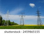 power lines tower electric mast field rapeseed sky