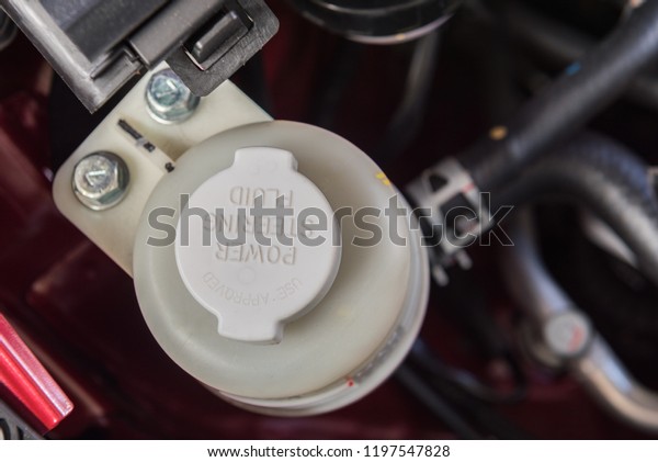 Power steering oil\
reservoir