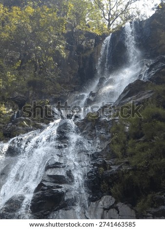 Powerful cascade flows through a vibrant forest, Pachmadi Hill station Madhya Pradesh India