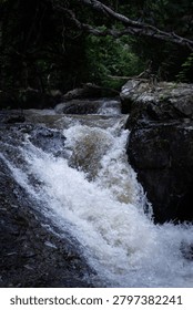 A powerful mountain stream crashes down a steep rocky slope, forming a small rushing waterfall in a dark, shaded forest. White water rapids and dense foam contrast heavily against the wet, dark stone formations and thick overhanging tree branches.