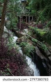 A powerful mountain stream cuts through a deep rocky gorge filled with lush tropical greenery and purple foliage. A rustic wooden viewing platform on stilts stands nestled over the running water amidst dense forest trees.