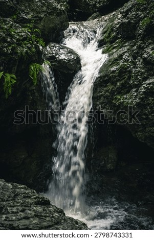 A powerful small waterfall rushes down between massive dark moss-covered rocks in a shaded forest gorge. Crystal water creates beautiful motion and white foam as it cascades through the narrow rocky passage. Lush green ferns add vibrant contrast to the moody, tranquil nature scene. Ideal for backgrounds, meditation, ecology, and adventure projects.