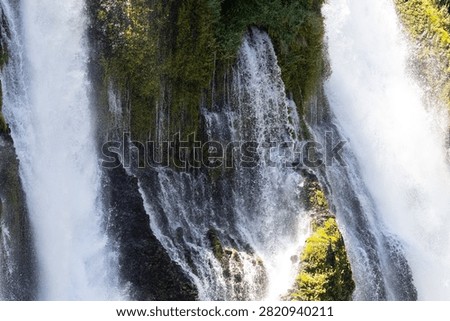 Powerful spring-fed waterfall cascading around moss-covered volcanic rock at Burney Falls in McArthur-Burney Falls Memorial State Park, California, USA.