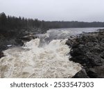 A powerful waterfall flows through rugged terrain, surrounded by dense forests and rocky cliffs under an overcast sky