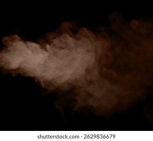 Una poderosa tormenta de viento sopló a través del desierto, levantando una mezcla de polvo, arena y humo, mientras hojuelas doradas de tierra y tierra bailaban en el aire como chispas mágicas contra la oscuridad

