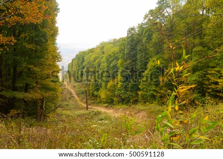 Powerline cut through the trees in Morgan County Tennessee