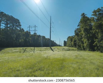 Powerline right of way in Montgomery County, Texas.
