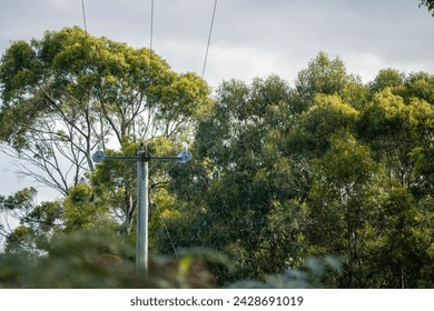 Powerlines in the bush in Australia. Power poles a fire hazard in the forest 