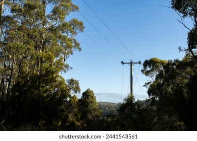 Powerlines in the bush in Australia. Power poles a fire hazard 