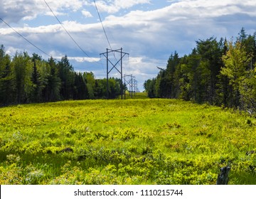 Powerlines Through Field