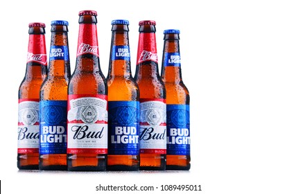 anheuser busch beers