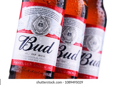 anheuser busch beers