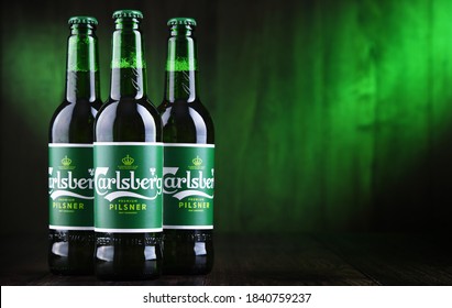 POZNAN, POL - OCT 2, 2020: Bottles of Carlsberg pale lager beer produced by Carlsberg Group, a Danish brewing company founded in 1847 with headquarters located in Copenhagen, Denmark