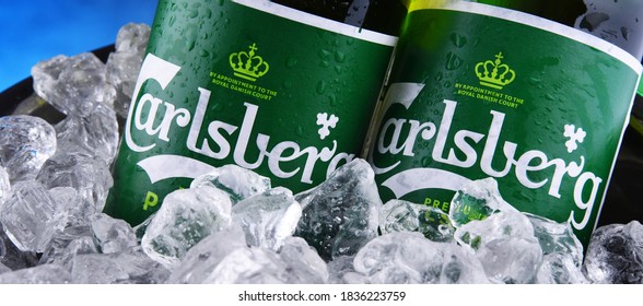 POZNAN, POL - OCT 8, 2020: Bottles of Carlsberg pale lager beer produced by Carlsberg Group, a Danish brewing company founded in 1847 with headquarters located in Copenhagen, Denmark