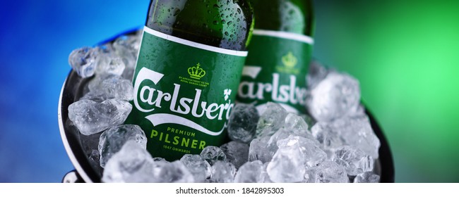 POZNAN, POL - OCT 8, 2020: Bottles of Carlsberg pale lager beer produced by Carlsberg Group, a Danish brewing company founded in 1847 with headquarters located in Copenhagen, Denmark