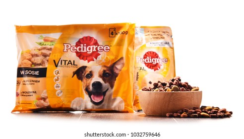POZNAN, POLAND - FEB 21, 2018: dog food products of Pedigree Petfoods, subsidiary of the American group Mars, Incorporated, headquartered in McLean, Virginia, U.S. 