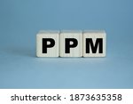 PPM. the word is written on a wooden cubes. Can be used for business, marketing, financial concept. Selective focus.