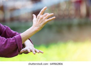 Practice Of Tai Chi Chuan In Outdoor. Detail Of Hand Positions