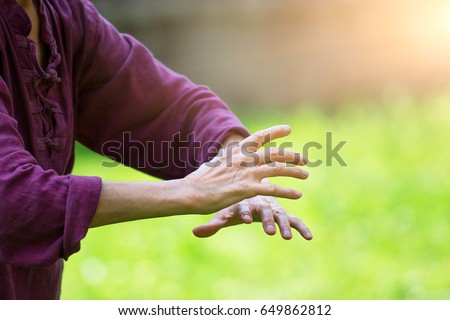 Practice of Tai Chi Chuan in outdoor. Detail of hand positions