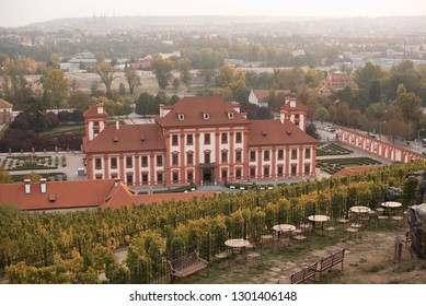 Prague Botanical Garden