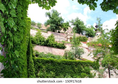 Prague Castle Garden