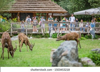 动物园图片 库存照片和矢量图 Shutterstock