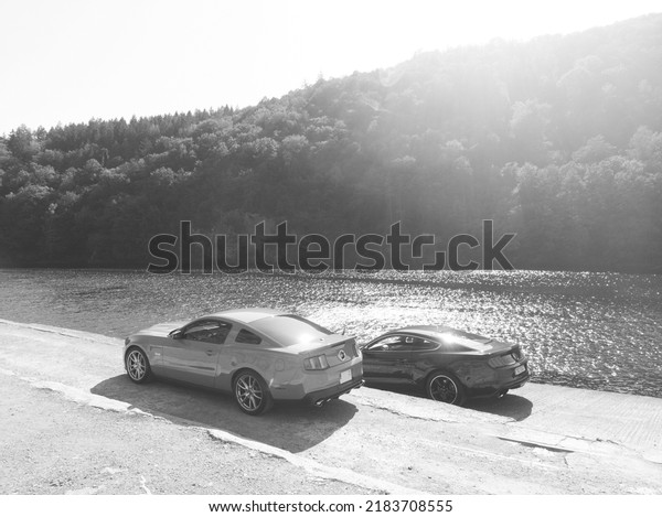 Prague, Czech republic - Jully 27\
2018: Ford Mustang and \
2019 Ford Mustang Bullitt in legendary\
dark green color. The elegant and luxurious super\
sports.