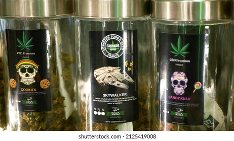 PRAGUE, CZECH REPUBLIC, SEPTEMBER 25, 2021: Cannabis Bud Dried Shop Medicinal Hemp For Smoking Cigarettes Joint Harvested Glass Seeds Sativa Weed Store, Packaged Hemp CBD, Leaf Symbol